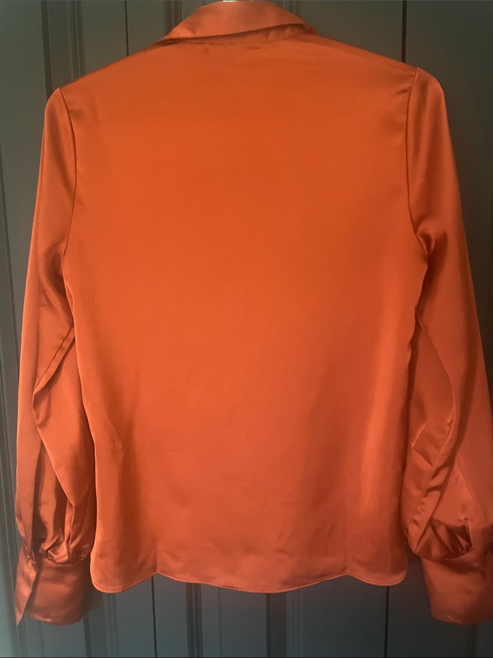 RW Rust Blouse - Picture 6 of 6